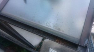 image1_5.jpeg