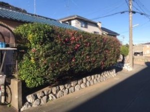 image4_3.jpeg