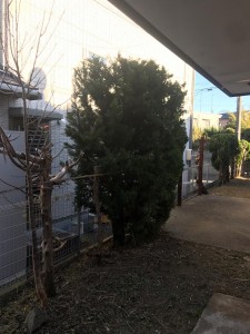image6.jpeg